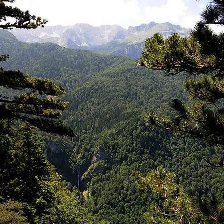 Domacinstvo Popov Most