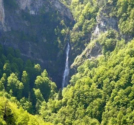 Domacinstvo Popov Most *