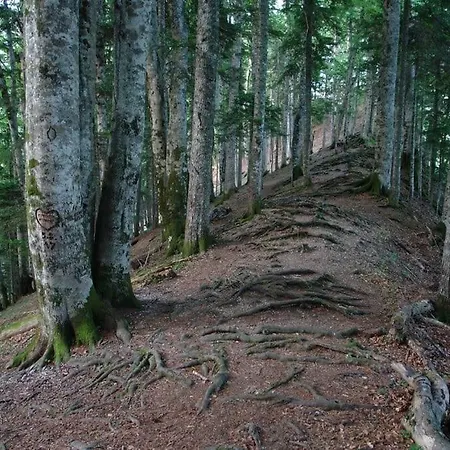 Domacinstvo Popov Most *
