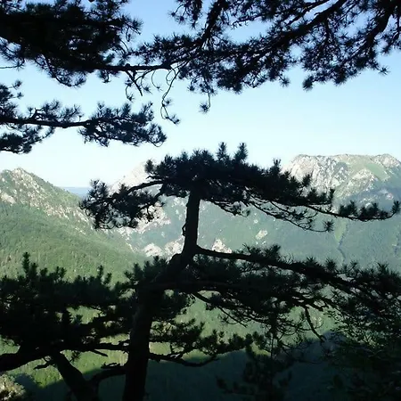 Domacinstvo Popov Most Landsted